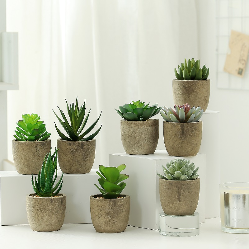 Vente chaude Plante succulente artificielle en papier pulpe de papier