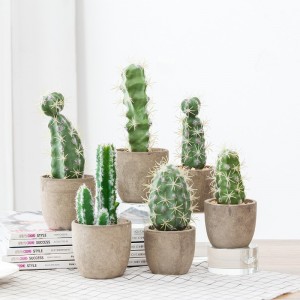 Vente chaude Plante succulente artificielle en papier pulpe de papier