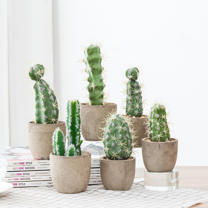 Vente chaude Plante succulente artificielle en papier pulpe de papier