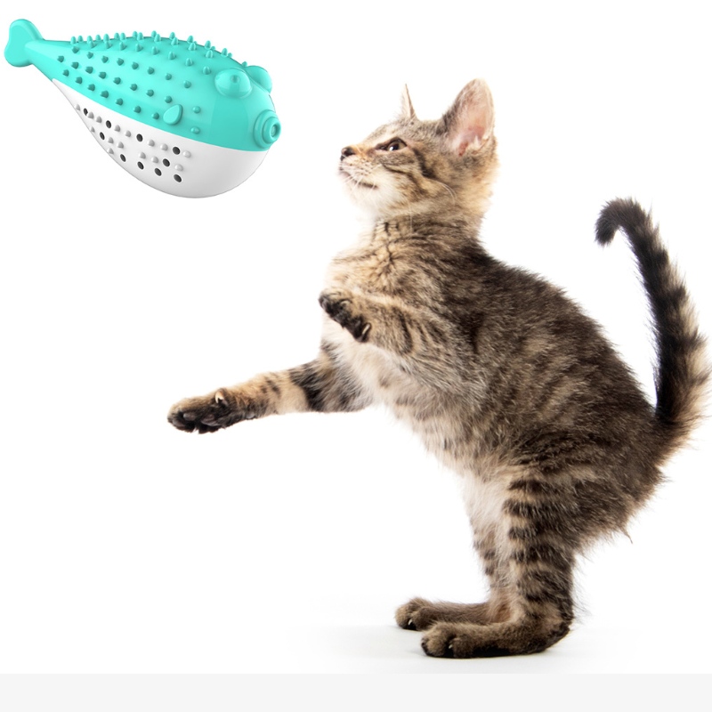 Furjoyz en gros drôle jouets d'animaux de compagnie brosse à dents jouet interactif portable chat intelligent propre dents caoutchouc catnip chat jouet