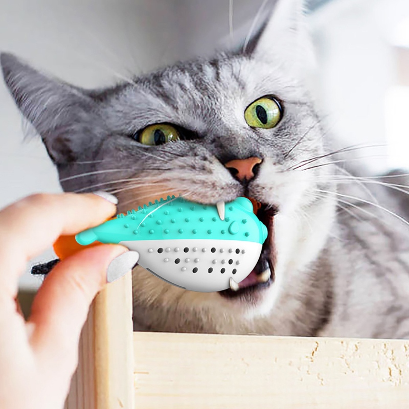 Furjoyz en gros drôle jouets d'animaux de compagnie brosse à dents jouet interactif portable chat intelligent propre dents caoutchouc catnip chat jouet