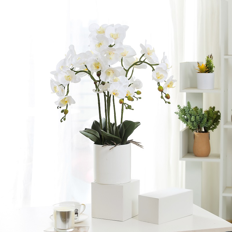 Vente chaude Véritable Touch Véritable Orchidée artificielle en pot