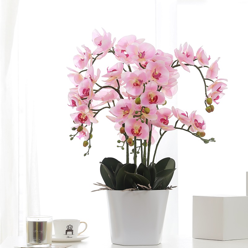 Orchidée artificielle en pot touchée réelle à vendre