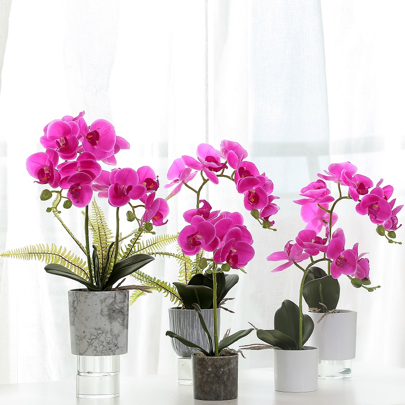 Vente chaude Orchidée artificielle en pot rouge avec de haute qualité