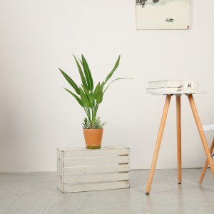 Plante artificielle de style moderne de haute qualité en pot à vendre