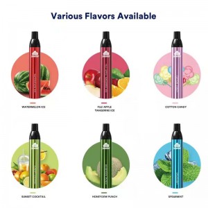 Kit Vapes jetables JFHB 2500buffs d\'origine E cigarettes