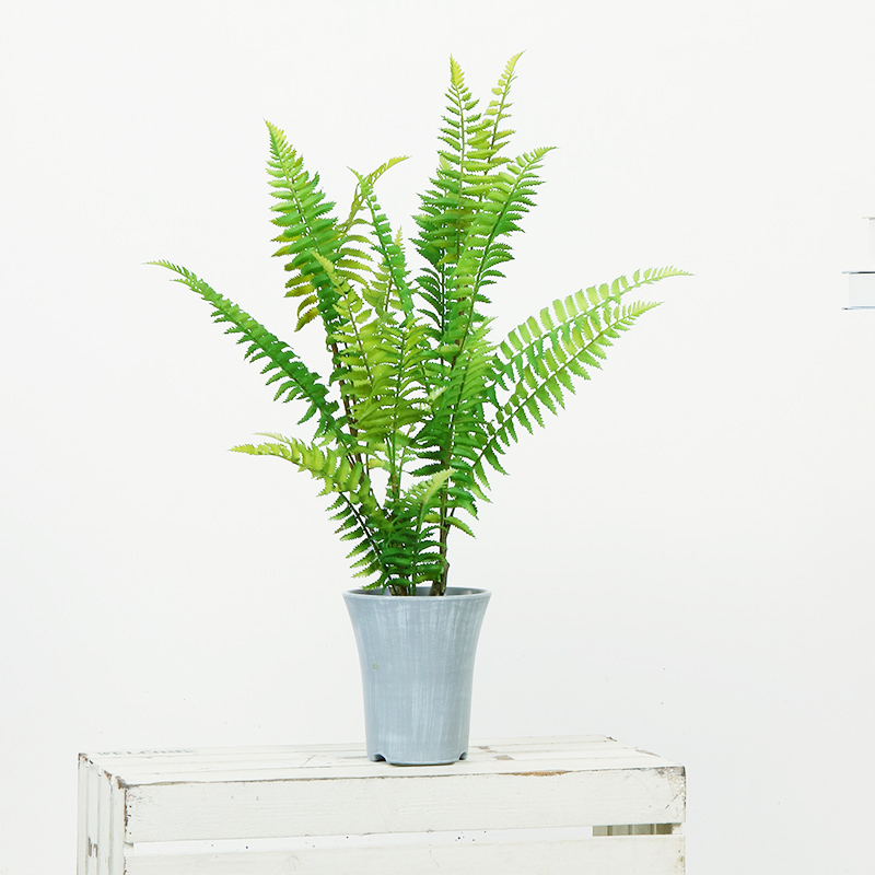 Plantes vertes, arbre artificiel pour la décoration de la maison extérieure d'intérieur, décoration du centre commercial