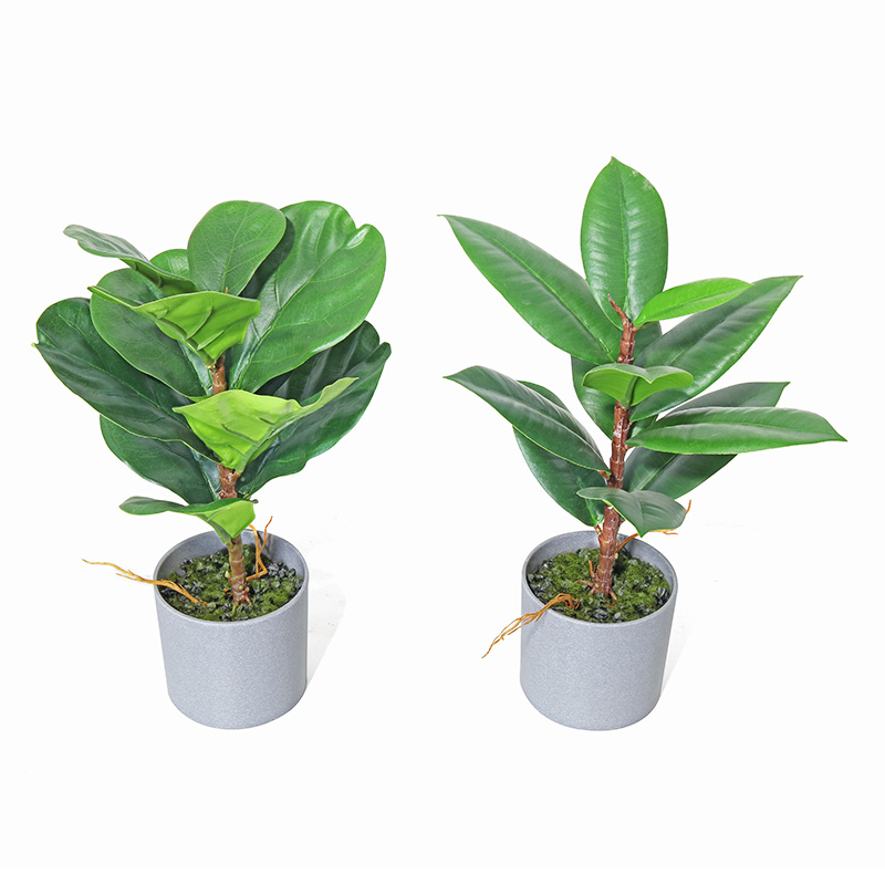 Accueil Decor Meilleur Faux Naturels Petites Plantes Vertes Vertes artificielles Bonsaï