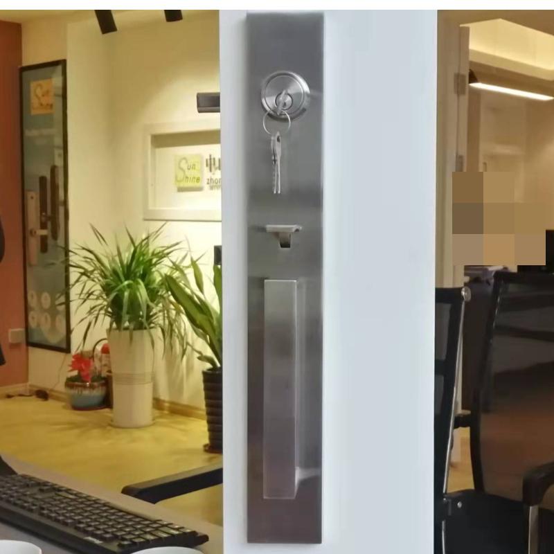8005 Poignée de porte d'entrée de porte d'entrée moderne et ensemble de pêneaux mortels