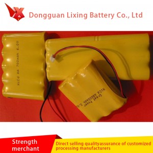 Un grandnombre de batteries spéciales pour extracteur à cheveux NICD400 2.4V N ° 5 Batterie de combinaison 2.4V personnalisée par les fabricants