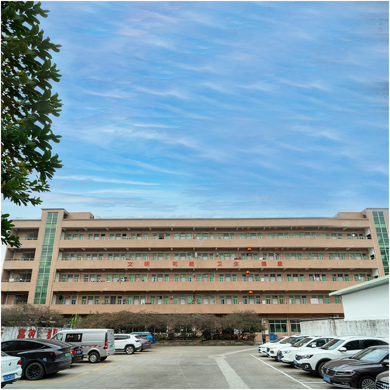 À quoi ressemble une usine de moule d\'injection dans vos yeux?