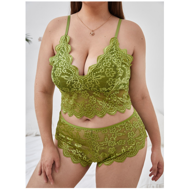 Dentelle brodée grande taille transparente arrière transparente lingerie sexy lingerie plus taille femmes 2022