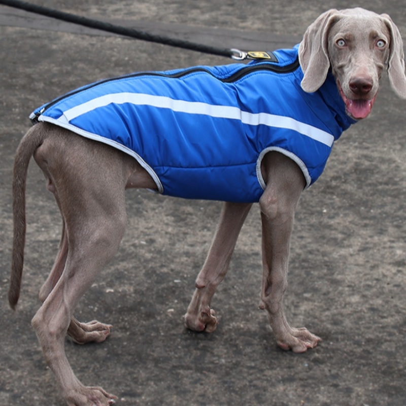 Fabricant en gros style extériorique de style de refroidissement fortement réfléchissant veste chien manteaux imperméables
