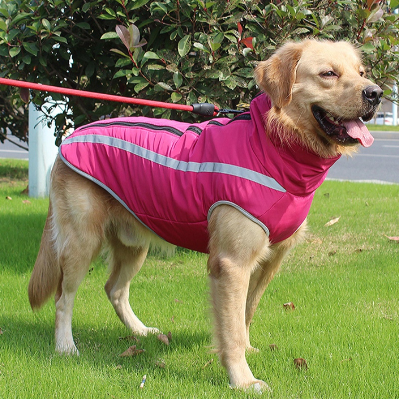Amazon Top Vendeur Personnalisé Harnais de chien Harnais de chien Vêtements réfléchis pour chiens moyens et grands