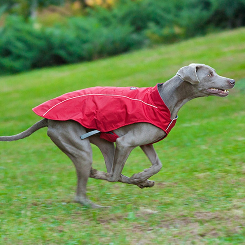 Manteau de chien réfléchissant de style classique imperméable veste de chien d'hiver réglable réversible léger réversible