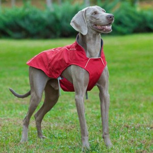 Manteau de chien réfléchissant de style classique imperméable veste de chien d\'hiver réglable réversible léger réversible