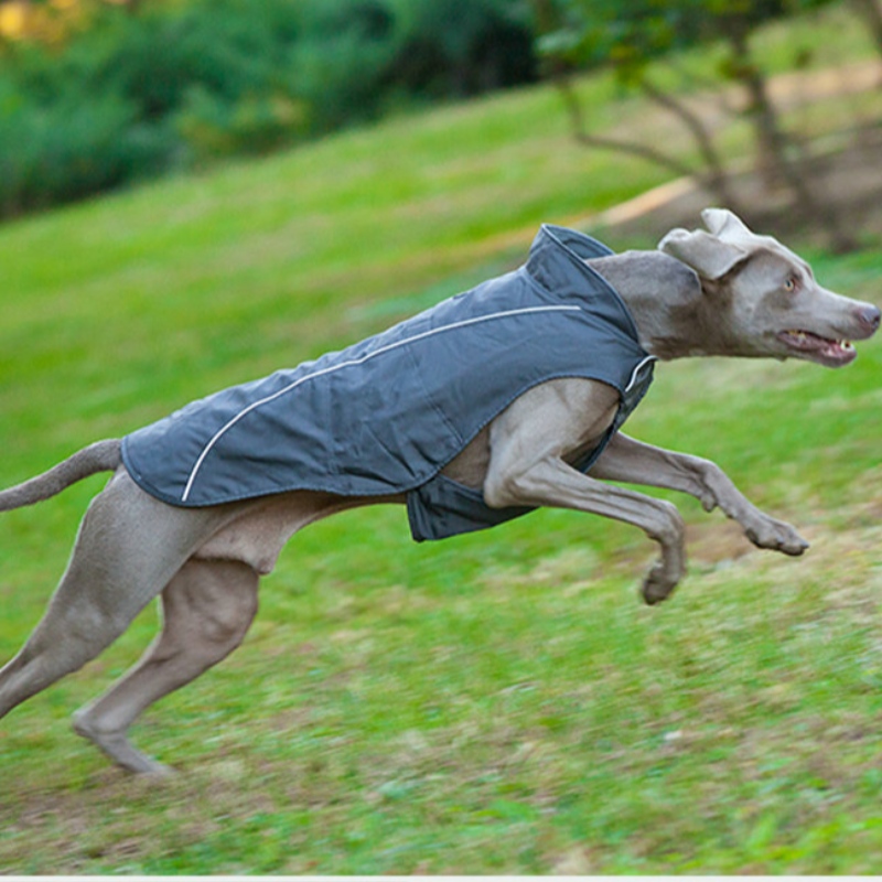 Oem/odm mignon petit chien manteau manteau sweat tissu sweat-shirt chiot chat pull tissu en gros chien hiver manteau