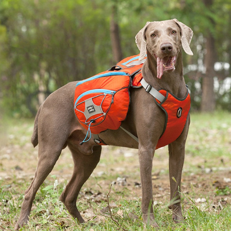 Nouveau design Vêtements de chien réfléchissant avec harnais chaud grand manteau d'animal de compagnie gilet beinkier hiver jaquette