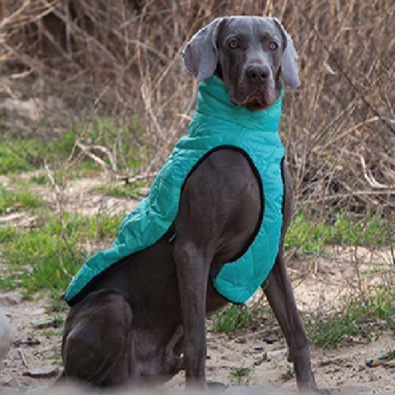 Amazon vente chaude Nouvelle animal de compagnie Vêtements chien Vêtements automne et hiver Épaissement Élastique Élastique Pull Pull Pull