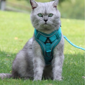 Mode Pet Gilet Type Traction Poitrine Bracelet Cat Chien Réglable Réglage Rétractable Rope Rope Collier