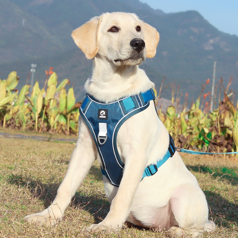 Fournisseur de Pet Harnais de chien Veste Cou Gilet Ajustable Pas de traction Harnais de chien Tactique Service militaire Gilet