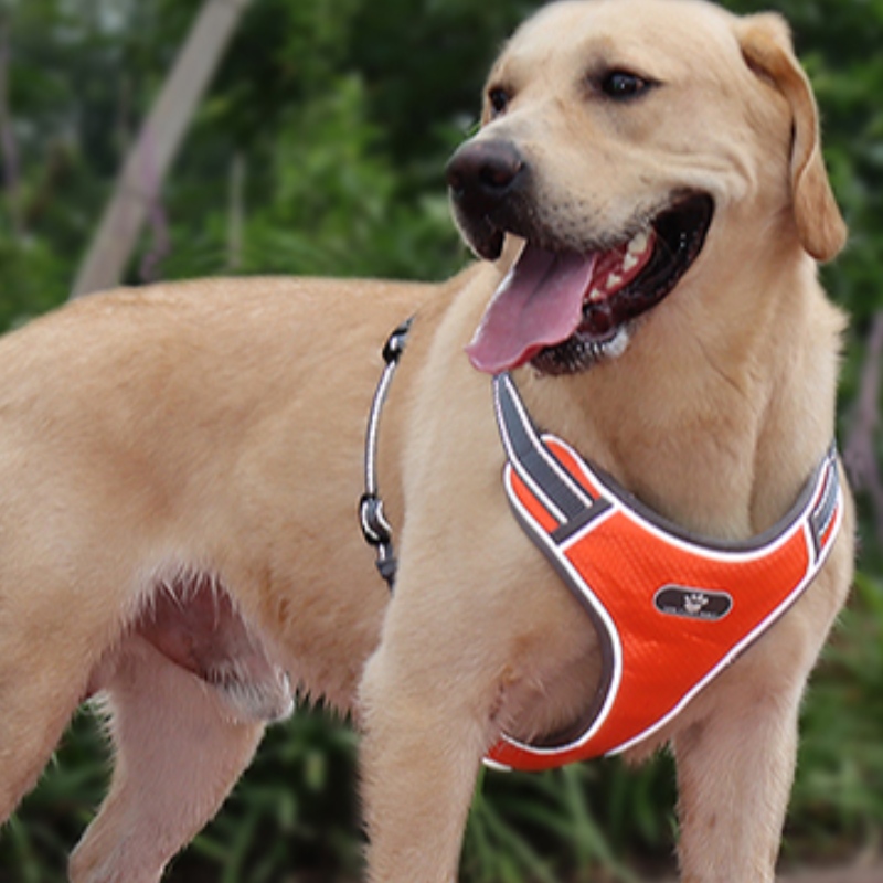 Wholesale Fabrication OEM Fabrication personnalisée Harnais de chien haut de gamme Harnais de luxe Harnais Réversible Harnais de chien réfléchissant