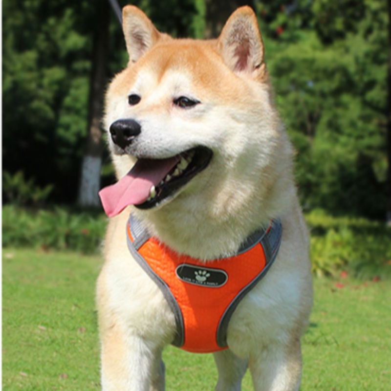 Wholesale Fabrication OEM Fabrication personnalisée Harnais de chien haut de gamme Harnais de luxe Harnais Réversible Harnais de chien réfléchissant