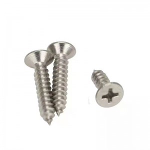 201 ponte en acier inoxydable tête auto-taraudeuse vis à tête plate à tête auto-taraudeuse Vis personnalisé auto-taraudage