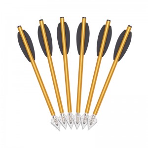 Elongarrow 160 mm Boulons de flèches en aluminium pour le pistolet Cross Bow extérieur chasse