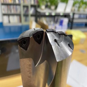 Insert wcmt dwc gros foret