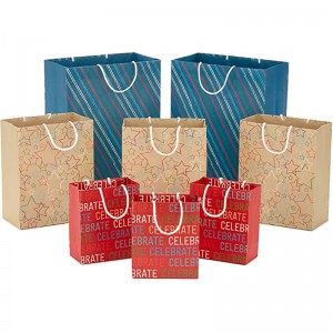 Assortiment de sacs cadeaux recyclables Hallmark (8 sacs: 3 Small 6 \\\\ \\\