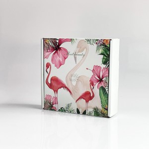 Couleur de couleur Boîte d\'aéronef