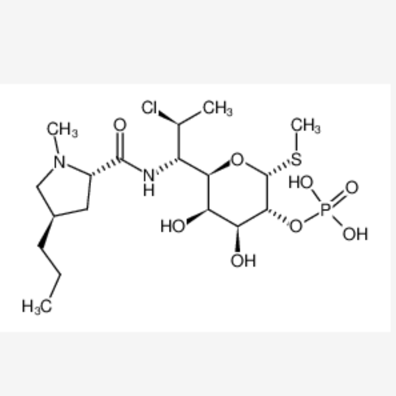 Phosphate de clindamycine