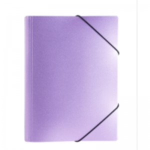 PP PROST PLAST DIFFICATION