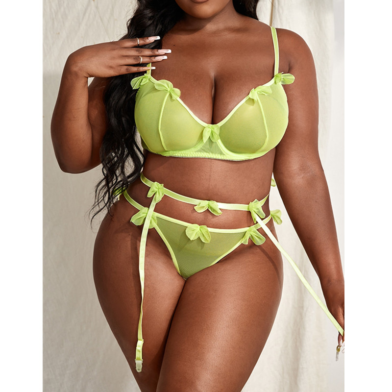 Appliques Détails Sexy Lingerie Set avec une paire Jarretière