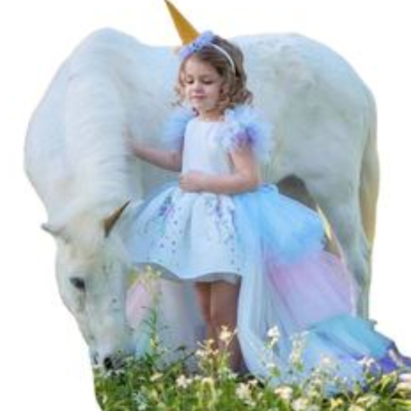 Robe de fête à licorne pour filles costume bébé robe d'été enfants élégante fille porte une robe de princesse avec un train long