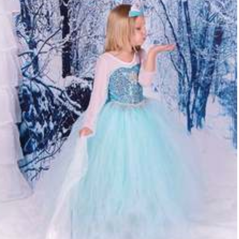 Baige tv&Movie elsa anna girl party performance robes halloween cosplay robes costumes