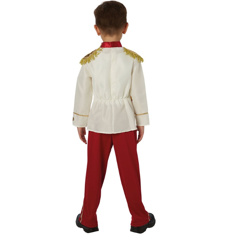 Costume charmant prince prince Prince Habille Costume de tenue de prince royal médiéval pour les enfants pour enfants garçons âgés de 3 à 14 ans