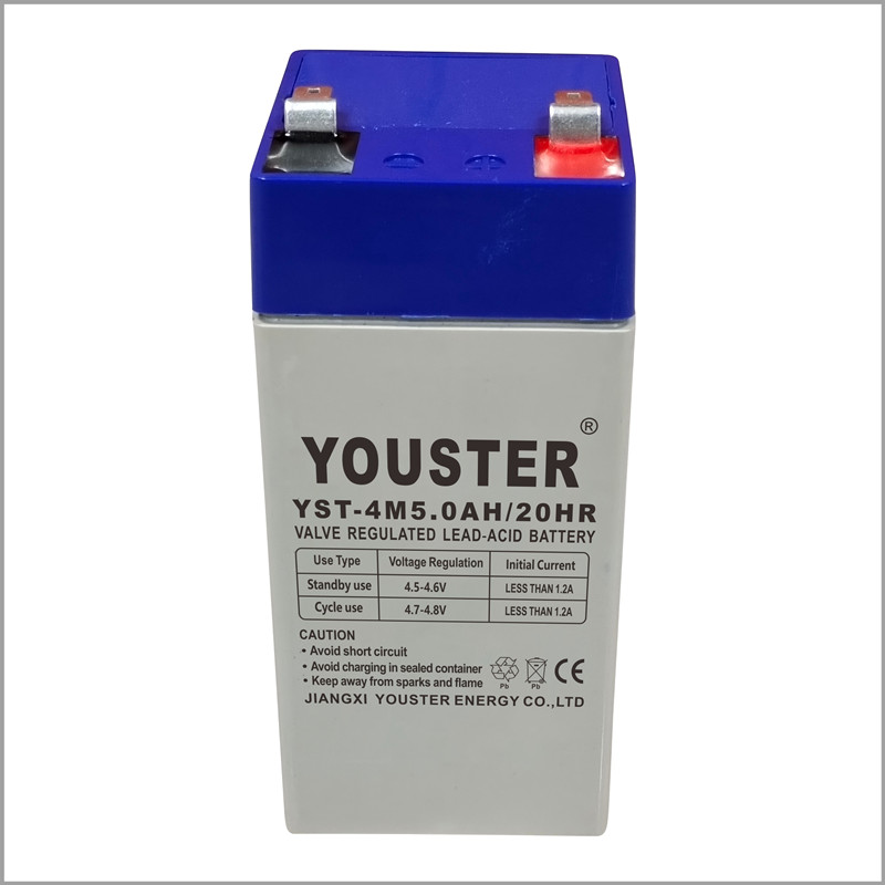 YouSter Rechargeable Small Scelled Lead Acid Batter