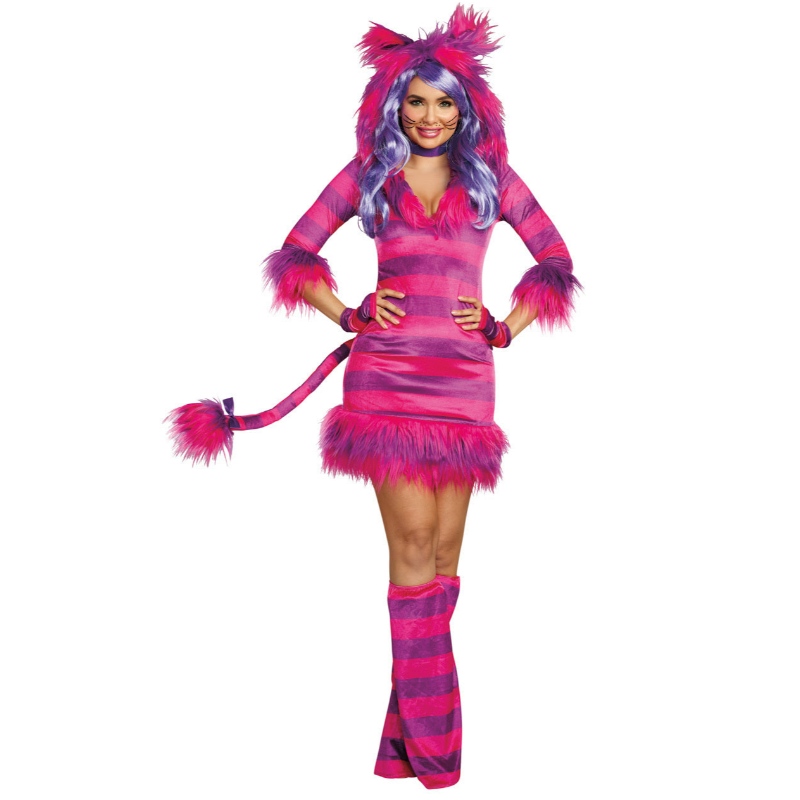 Vêtements magiques pour chats