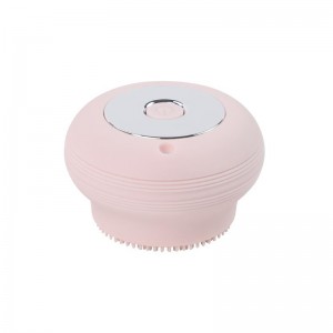 Nettoyeur de visage de beauté