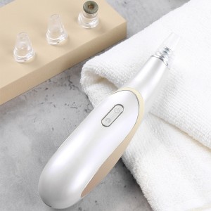 Aspirateur électrique à tête noire