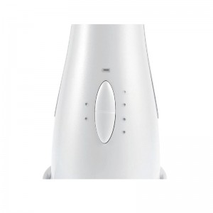 Massage du visage électrique basal