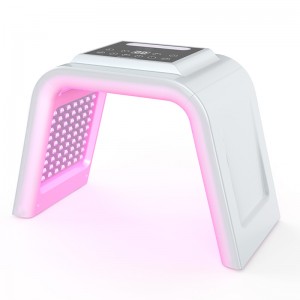 Utilisation de l\'équipement de beauté multifonction PDT Machine de thérapie LED PDT (type de vapeur) Nano Water supplément, rajeunissement de la peau, acné enlever