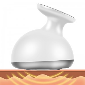 RF Dispositif d\'élimination des graisses à vide RF Dispositif minceur du corps, machine de sculpture corporelle, machine à visage corporelle Machine multifonction de soins de la peau pour le visage, le bras, la taille, le ventre, la ...