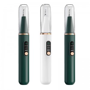 Visualisation à la maison Visualisation Ultrasonic Dental Calculus Nettoyer, caméra haute définition intégrée et lumière LED avec 3 modes denettoyage de dents