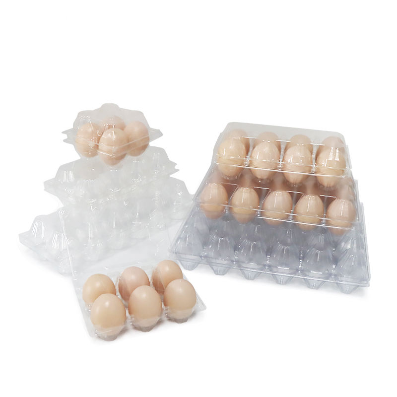 Plateau d'oeuf d'emballage biodégradable en plastique jetable personnalisé