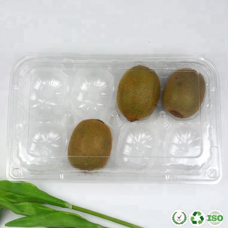 Conteneur de fruits en plastique transparent en plastique transparent pour le kiwi