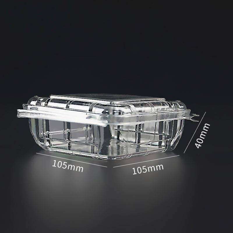 125g en gros en gros transparent Clamhell Blearberry Clamhell Packaging Fruit Container