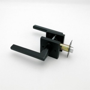 S7503 Levier de porte d\'intimité pour les portes de chambre et de salle de bainnoire mat